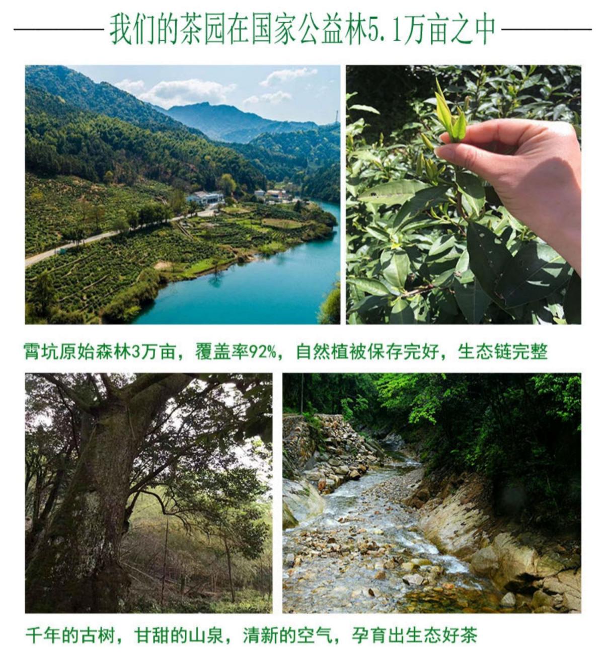 微信图片_2026-07-16_161501_408.jpg