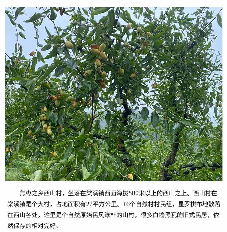 微信图片_2026-07-16_162246_305.jpg