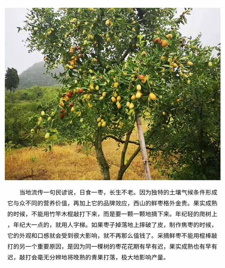 微信图片_2026-07-16_162250_192.jpg