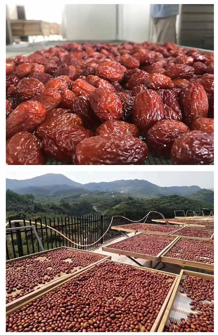 微信图片_2026-07-16_162258_729.jpg