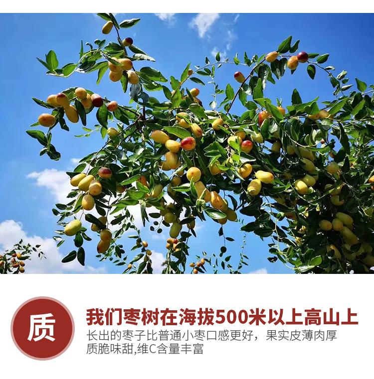 微信图片_2026-07-16_162317_528.jpg